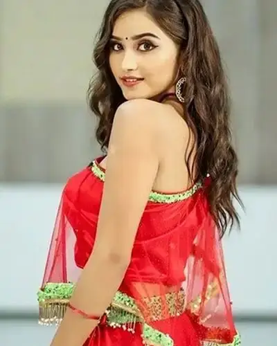 Call Girls Service Sardarshahar